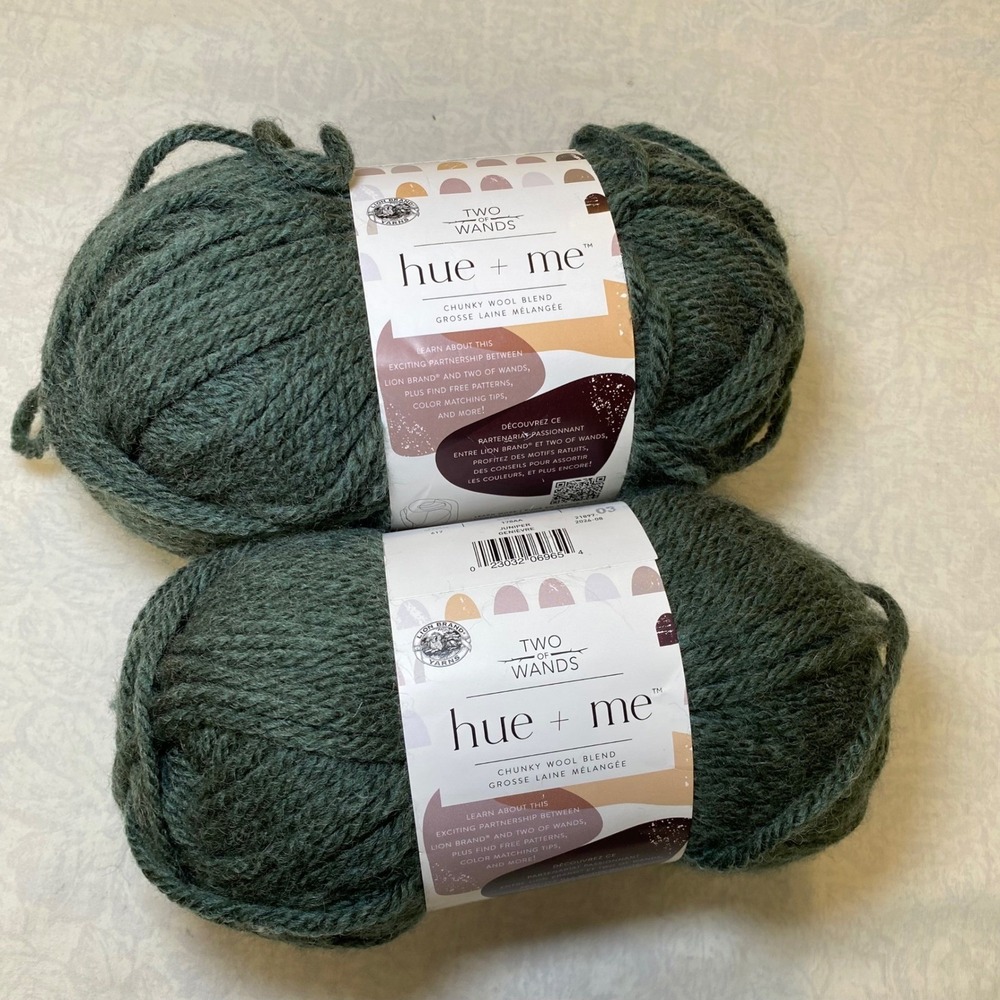 Lion Brand Two of Wands Hue + Me Juniper 178AA Bulky Yarn 2 Skeins